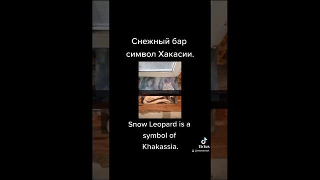 Снежный Барс это символ Хакасии. Snow Leopard is a symbol of Khakassia. смотреть онлайн