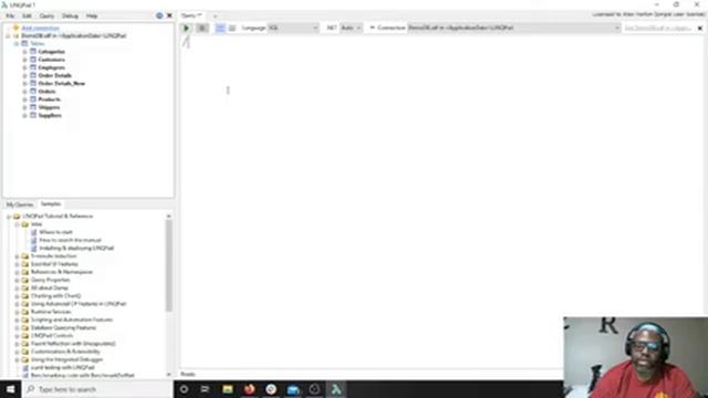 Code Black Learning Session - LinqPad SQL смотреть онлайн