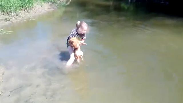 Купание немецкого шпица на речке Стрелке смотреть онлайн