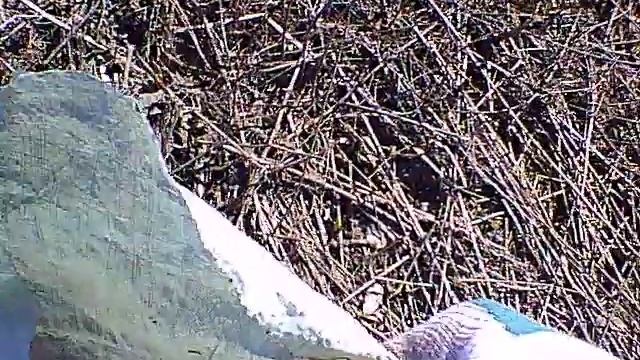 Продолжаю Наводить Чистоту смотреть онлайн