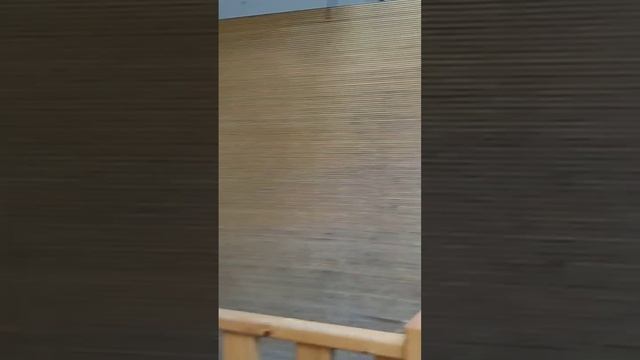 кудрявая ива #бум смотреть онлайн