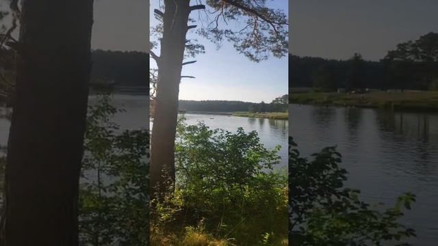 Лугавское 2022 Озера сибири смотреть онлайн