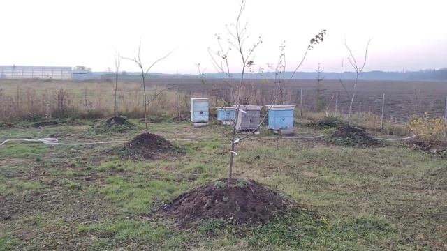 Ленинаканские голуби 9085622004 смотреть онлайн