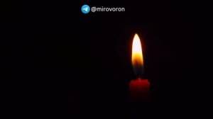 Шепоток на мгновенный вызов мужчины. Позвонит в течение часа