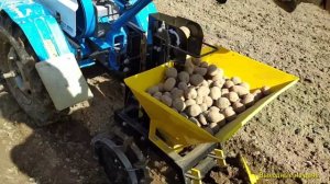 Посадка картофеля мотоблоком с картофелесажалкой 2021.