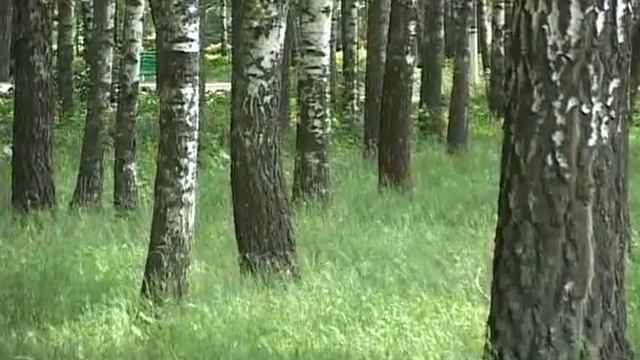 Трава по пояс смотреть онлайн