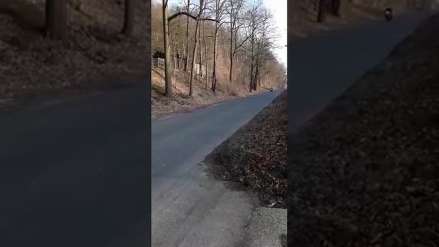 Suzuki ls 650 bobber vintage custom смотреть онлайн