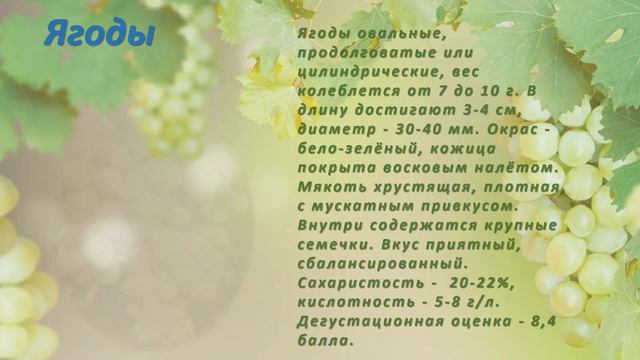 Лора виноград Флора смотреть онлайн