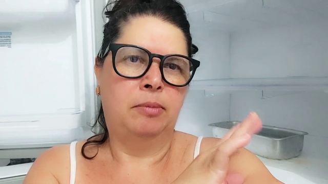 COMO LIMPAR A GELADEIRA. смотреть онлайн