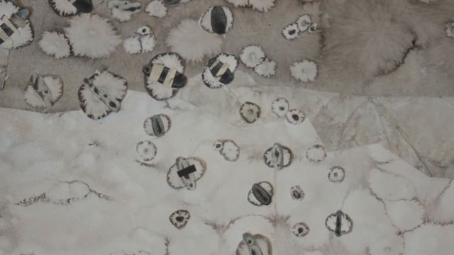 МИФЫ ДРЕВНЕЙ ГРЕЦИИ (часть III ) | надин дневник смотреть онлайн