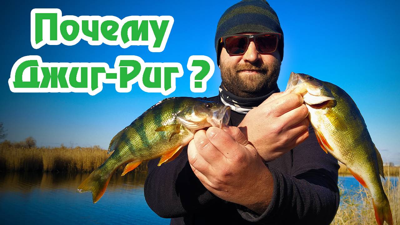 Почему Джиг- Риг? / Большие окуни / Ловля окуня на Джиг Риг / Монтаж Джиг Риг / Ловля на Спиннинг / смотреть онлайн