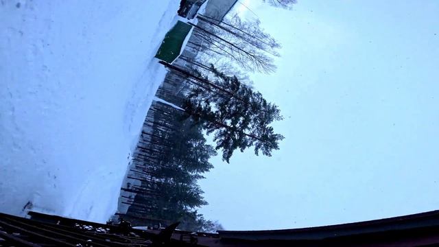 Сломали сук и жрут с кормушки