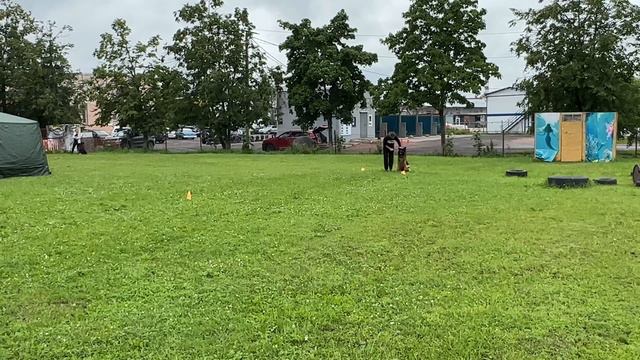 4.  выражено/перв ИРЕНДОРФ ВУДУ (Ian V. Kleinen Zauberberg – Зависть Богов Рейма)