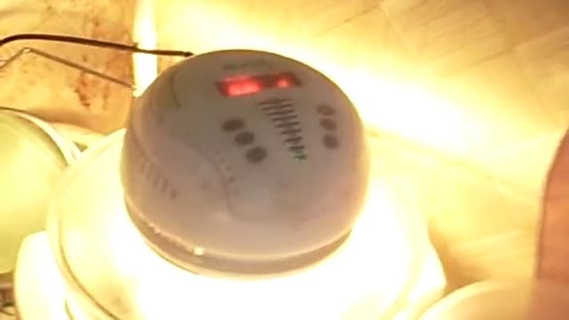 сушка укропа в Аэрогриле смотреть онлайн