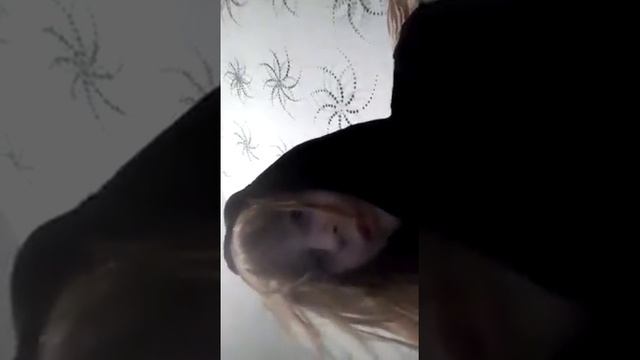 Сделала причёску под мальчика!!?? смотреть онлайн