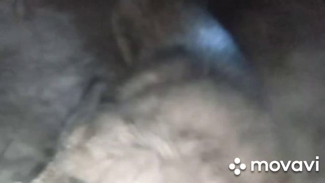 -45 не страшно, когда есть печка, дрова и корма. смотреть онлайн