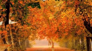 Невероятно красивая  осенняя мелодия! Сергей Чекалин - осень!