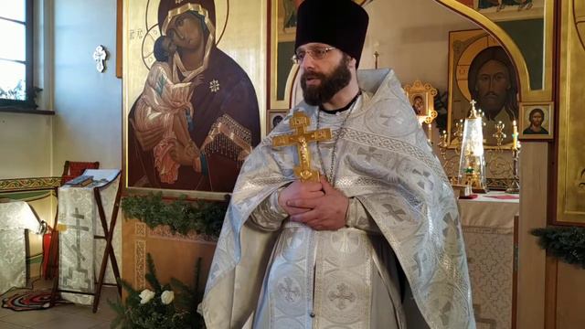 Правила против гордости. Что такое покаяние ? Проповедь о. Димитрия (16.01.2022) смотреть онлайн
