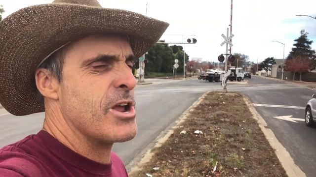 Everyone Starts Out Little- The Moorten Bay Fig, Ficus macrophylla смотреть онлайн