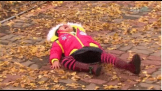 Bernoulli's Principle: How it Works and Real-World Applications #vigyanrecharge #bernoulli смотреть онлайн