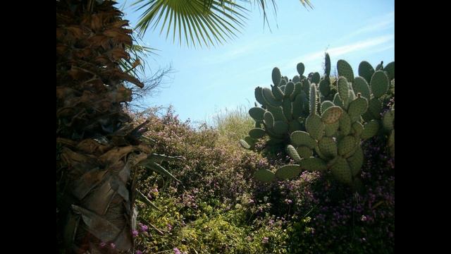 299.(248) Вторая поездка из Фленсбурга на Майорку (Cala Vinyes, Spanien; апрель, 2009).Фильм 11. смотреть онлайн