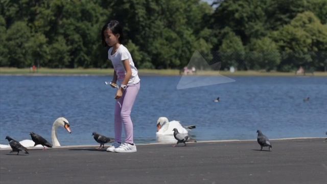 Lessons-13 смотреть онлайн