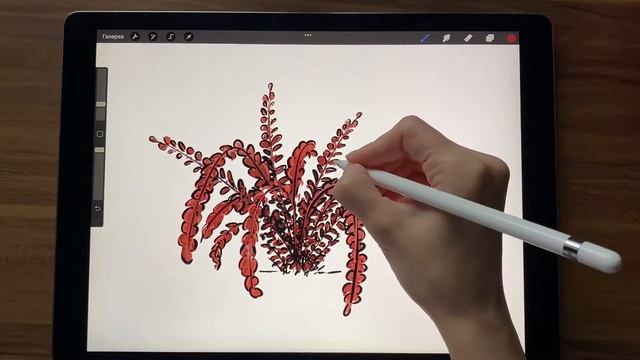 Барбарис - как его нарисовать?! Разберем 3 вида наброска скетча. смотреть онлайн