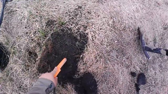 поиск монет на распашке и старых огородах, ТХ-850 как всегда радует