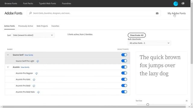 How to add Adobe Fonts Typekit to WordPress with Neuron Builder смотреть онлайн