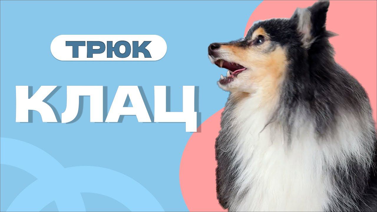 ПРОСТОЙ ТРЮК КЛАЦ или КРОКОДИЛ