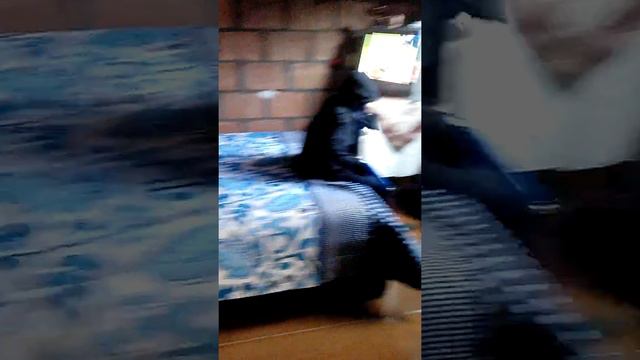 Matias super ninja смотреть онлайн