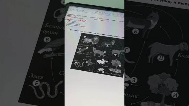 Решаем 19 задание ОГЭ на экологическое описание вида смотреть онлайн