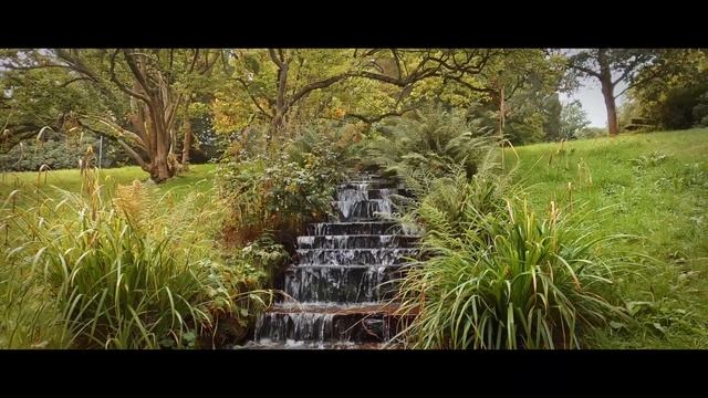 Baden-Baden 4K смотреть онлайн