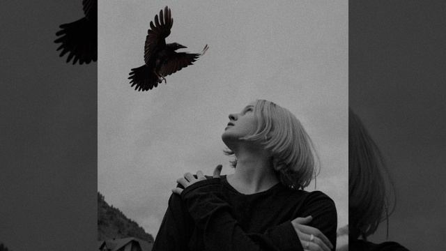 Птица смотреть онлайн