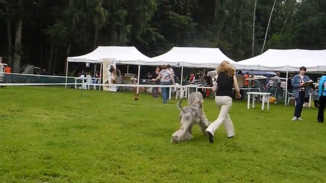 20.06.2015 CAC "Galaktika" смотреть онлайн