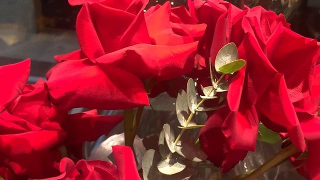 Фраза дня. Предложение выйти замуж.