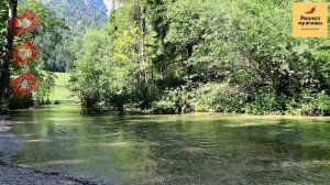 Рассказ мужчины | Измена жены. Гулящая жена. Бабья яма. Реальная история