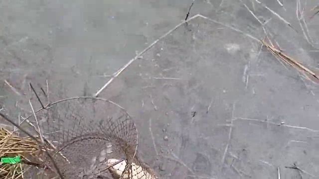 4.05.2021. Мёртвый Донец! смотреть онлайн