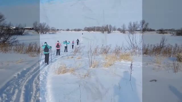 Туристический лыжный поход в исторических целях в д.Борки МАОУ Стрехнинская СОШ смотреть онлайн