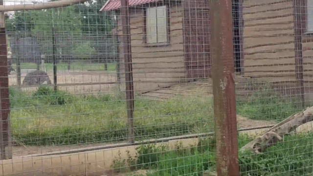 08.07.2020 Парк птиц "Воробьи" смотреть онлайн