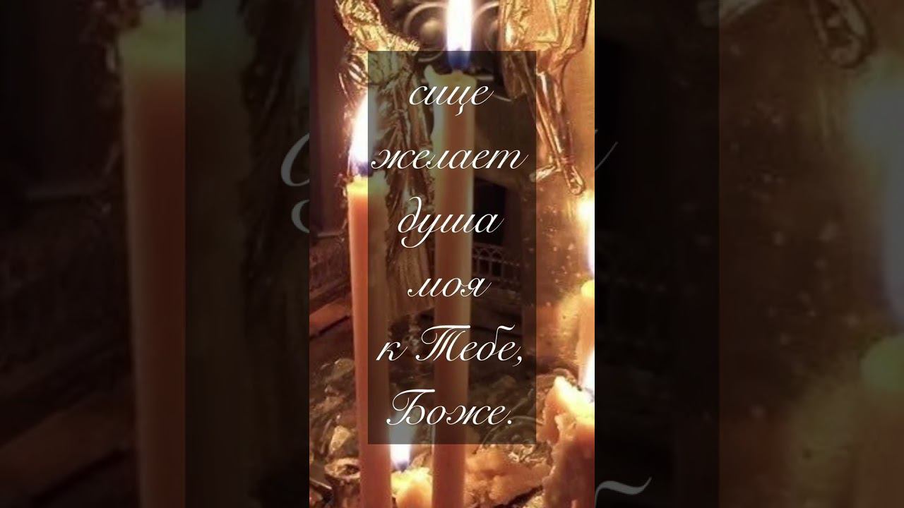 41 псалом И́мже о́бразом жела́ет еле́нь смотреть онлайн