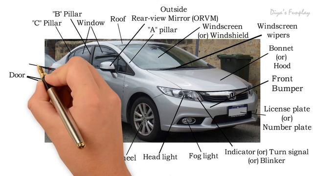 Parts Of A Car | Parts Of A Car For Beginners | What Are The Parts Of The Car | Car Exterior Parts