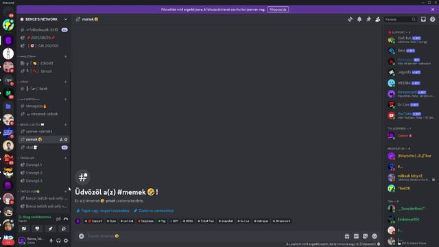 ITT VAN VÉGRE! Discord szerver! смотреть онлайн