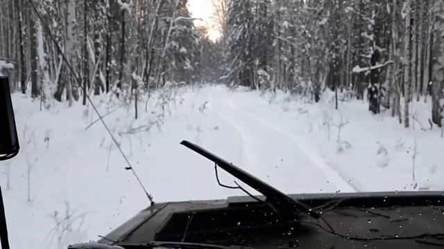 Вездеход ИНОХОДЕЦ, по заснеженной лесной дороге. смотреть онлайн
