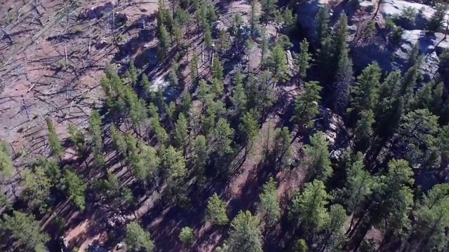 Camp Shady Brook Website Video смотреть онлайн
