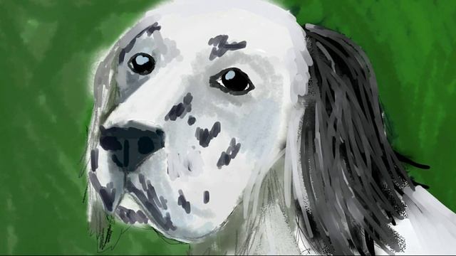 Белый Бим Черное Ухо. Краткое содержание смотреть онлайн