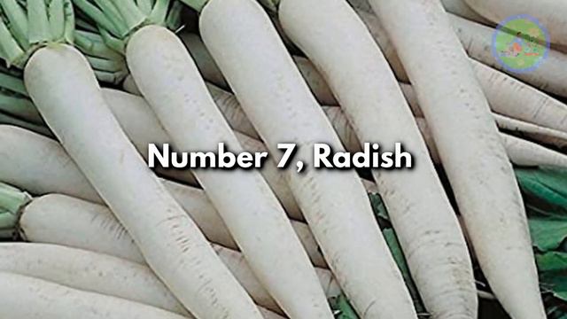 Which winter vegetables are rich in Nutrients, Minerals & Vitamins? смотреть онлайн