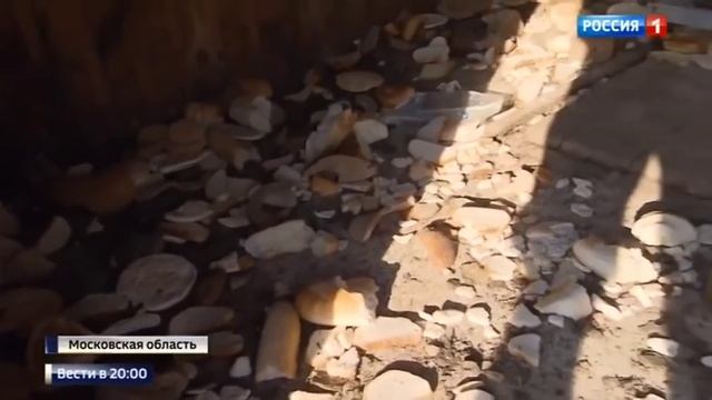 верблюд откусил руку смотреть онлайн