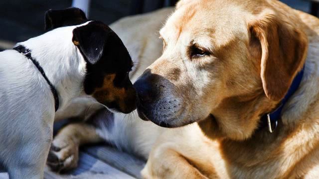 Хорошие русские хиты музыки про любовь онлайн смотреть онлайн