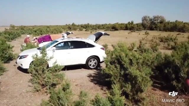 Размерность Творчества